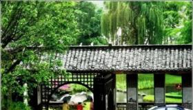 晨雨细语：杜甫笔下的清晨雨景赏析