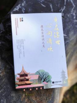 《望岳》诗歌教学设计案例：深入浅出，领略古诗之美
