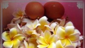 鸡蛋花的做法：简单易学，轻松制作美味鸡蛋花