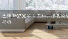 巴博斯G700实车亮相：绿色涂装醒目时尚，越野气势磅礴