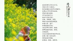 《创意作文》征稿启事范文：书写青春，点亮创意之光