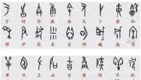 仔细这个词有哪些近义词？一文带你了解！