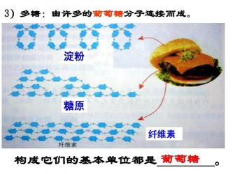 什么是淀粉：由葡萄糖分子聚合而成的营养物质