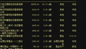 机构重仓股好不好：从投资策略和持股情况看影响