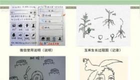 宛如近义词解析：探索丰富多样的表达