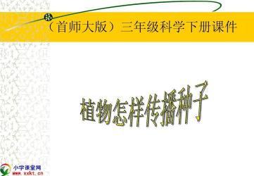 植物如何传播种子：自然界的智慧
