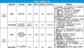 大病险一年交多少钱：城乡居民与商业型保险费用详解