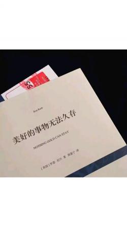 失魂落魄造句：描绘人生低谷的深刻心境