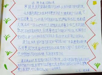 木偶奇遇记读后感300字：成长与亲情的深刻启示