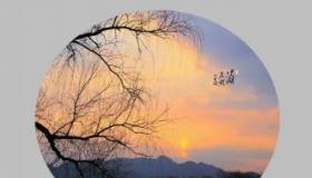 《回乡偶书》中的诗意乡愁：岁月流转，情牵故里