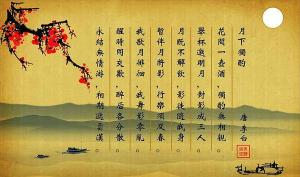 古诗的魅力：300字探寻中华文化的瑰宝