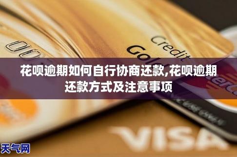 花呗分期12期提前还款：手续费及注意事项详解
