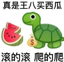 猪八戒的脊梁歇后语：一句俗语，解读其幽默与智慧