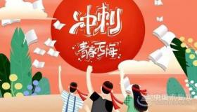 不负韶华，青春无悔：追寻梦想，勇敢前行