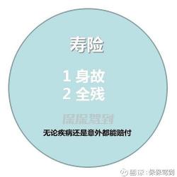 身故：终身身故保险中的重要概念解析