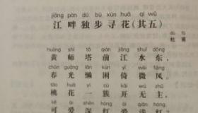 江畔寻花：杜甫《江畔独步寻花七绝句》赏析与解读