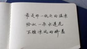想你了的句子：深情表达思念之情的温暖话语