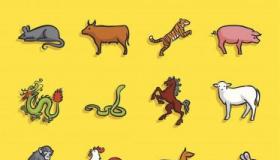 猴年话“猴”：四字成语大全，解读生肖猴的智慧与寓意
