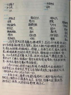 《简爱》读书笔记1000字：女性独立与坚韧的赞歌