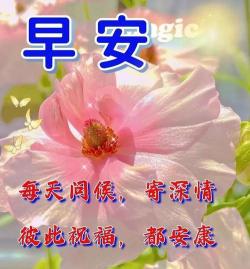 微信个性签名：简短阳光，照亮生活每一刻