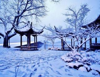 冬日赞歌：经典诗句描绘雪中美景