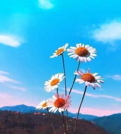 关于七月的唯美短句：热烈多彩，点燃夏日激情