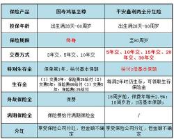 鑫盛17交满20年返多少：长期保障的分红与高保障优势