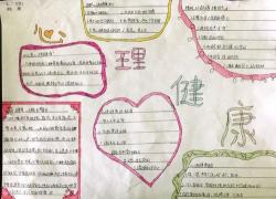 阐述校园中的健康:健康校园活动助我成长蜕变