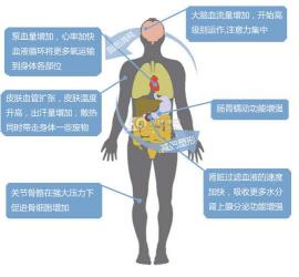 健身球的好处:锻炼方法与多重益处解析