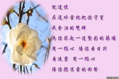 收不起的思念:爱情中的放手与回忆之诗