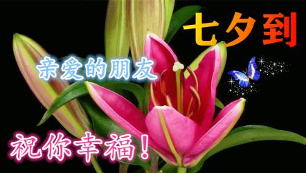 七夕情人节祝福语短信：甜蜜浓情传佳话，佳节祝福送心间