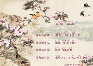 《春晓》:孟浩然笔下的春日晨光与惜花情怀