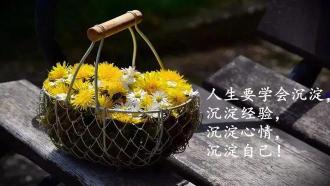精辟语录:人生导航,智慧箴言助你前行