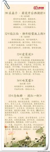 夏荷的诗句:优雅风姿与纯洁品质的诗意描绘