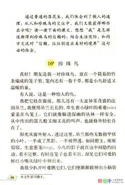 笨鸟先飞的故事:勤奋与超越的智慧启示