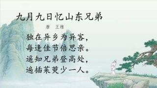 《九月九日忆山东兄弟》:古诗中的思乡深情与佳节孤独