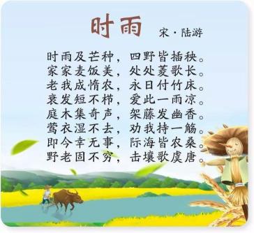 芒的成语:解读古人智慧,领略文化魅力