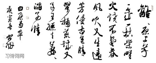 《草》古诗新解：白居易笔下的生命赞歌与离别哀思
