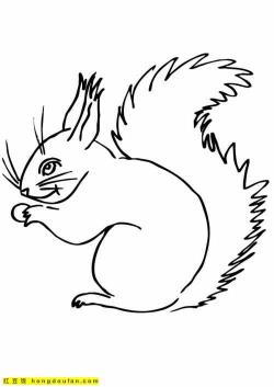 简笔画松鼠：森林中的灵动舞者，跃然纸上