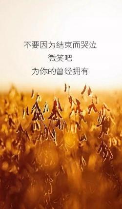 思念是一种痛：穿透心灵的无形折磨与爱的呼唤