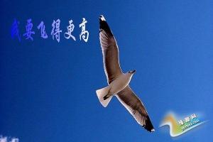 一双翅膀：当代孩子对自由与梦想的渴望