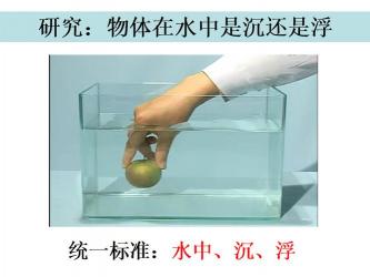 物体在水中是沉还是浮：科学探究与实验验证