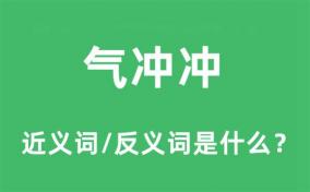 兴冲冲的近义词及相关词汇解析