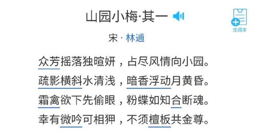 山园小梅：林逋的诗与情