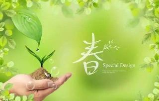 儿童散文诗歌大全：四季轻语与绿色奥秘，探寻童心与母爱的思念