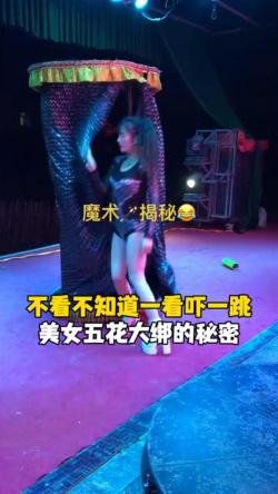 女生说的DL是什么意思：网络用语大揭秘