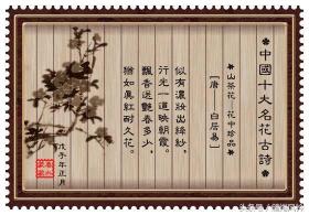 牡丹的诗：千古绝艳，绽放华章