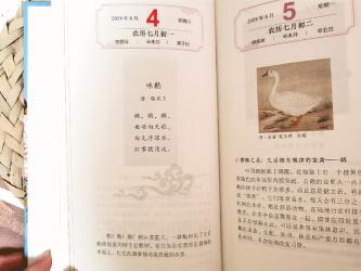 杜甫《小寒食舟中作》：暮年漂泊的忧思与对唐王朝的深切关怀