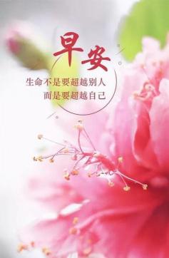 100句优美的早安心语，启迪心灵，开启美好一天