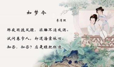 昨夜雨疏风骤：李清照的惜花之叹与人生之思